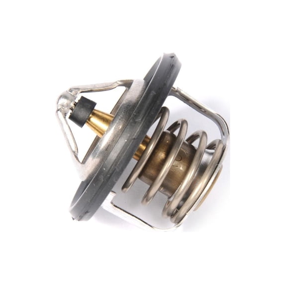 Engine Coolant Thermostat Fits 2015 Chevrolet City Express