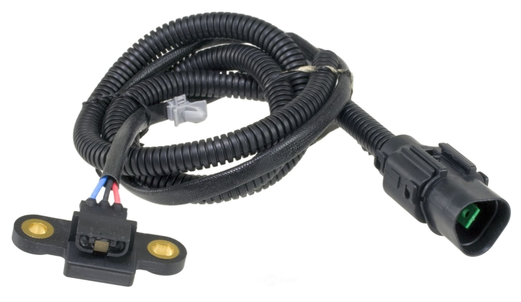Engine Crankshaft Position Sensor