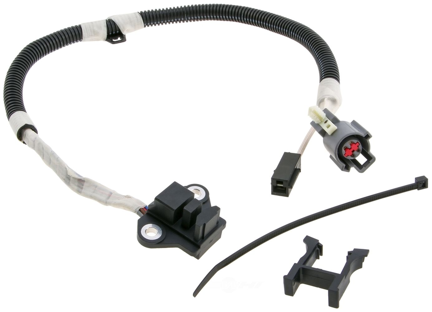 Engine Crankshaft Position Sensor