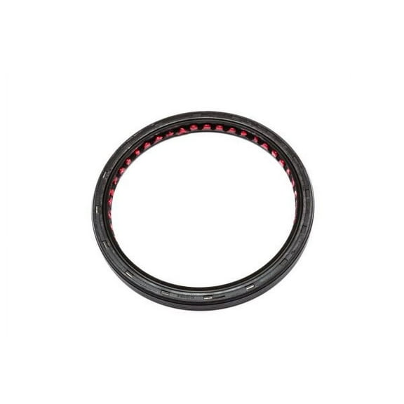 Engine Crankshaft Seal