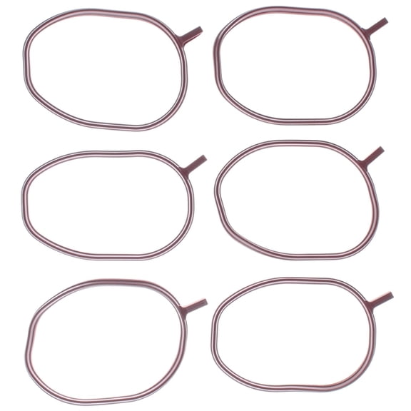 Engine Intake Manifold Ga