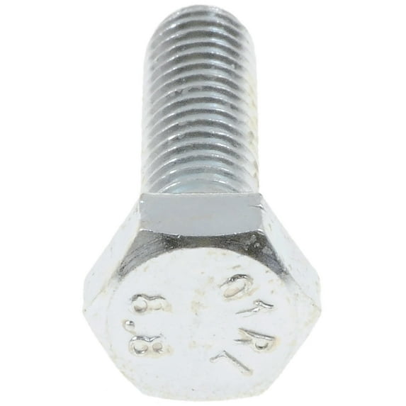 Engine Miscellaneous: Screw Cap; hardware