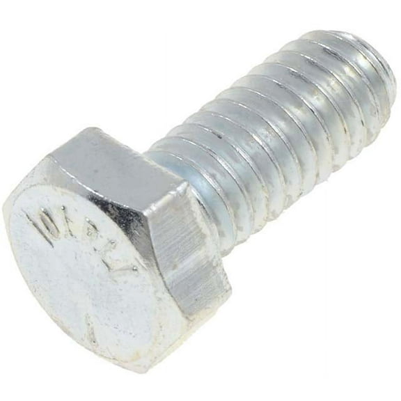 Engine Miscellaneous: Screw Cap; hardware