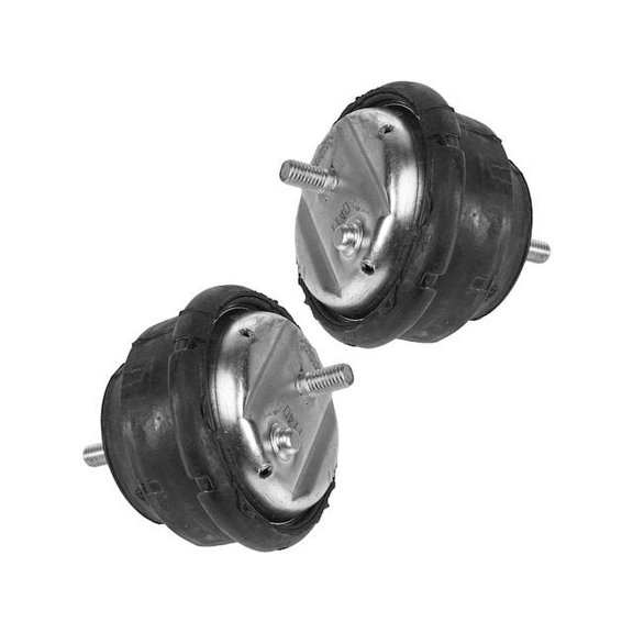 Engine Mount Set 2 Piece - Compatible with 1992 - 1995, 2001 - 2006 BMW 325i Sedan 1993 1994 2002 2003 2004 2005