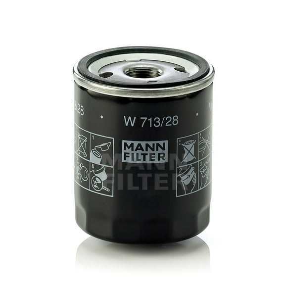 Engine Oil Filter Fits select: 2002-2005 LAND ROVER FREELANDER