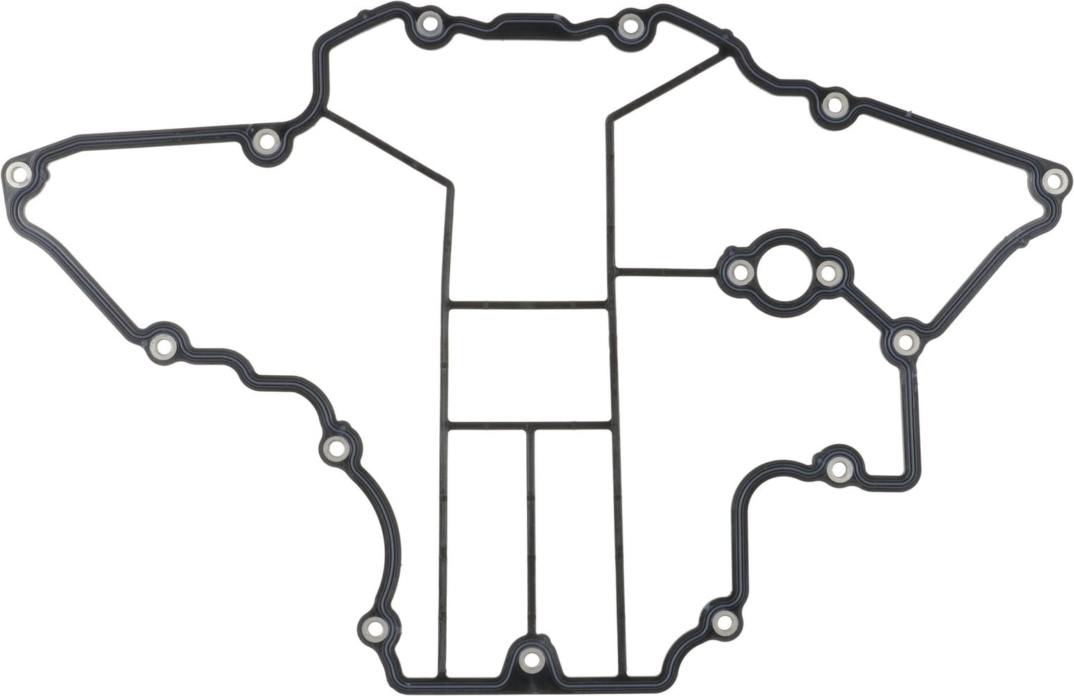 Engine Oil Pan Gasket