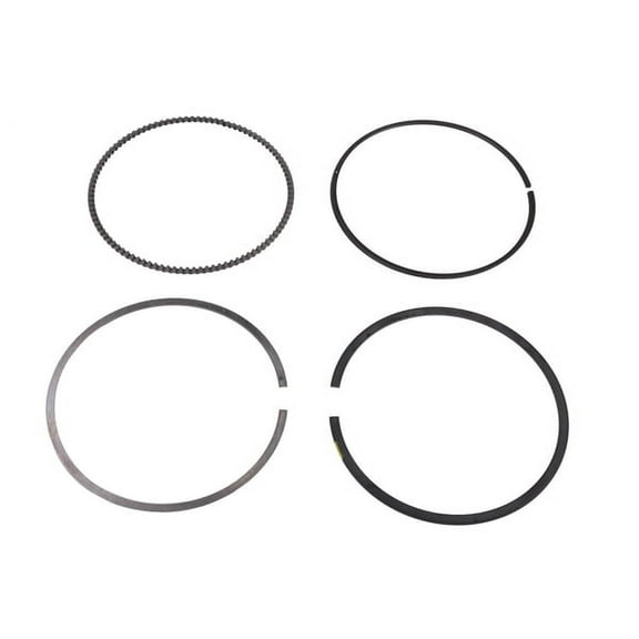 Engine Piston Ring Kit