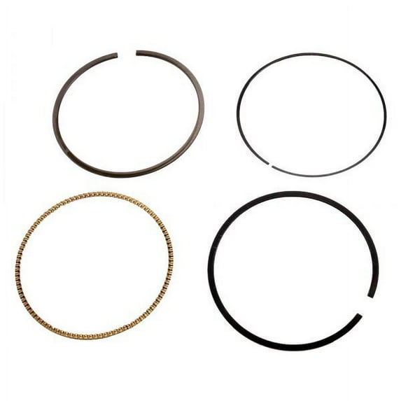 Engine Piston Ring Kit