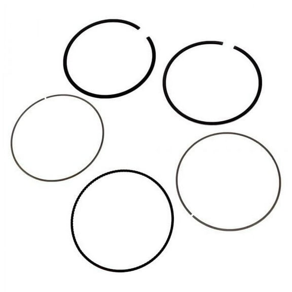 Engine Piston Ring Kit