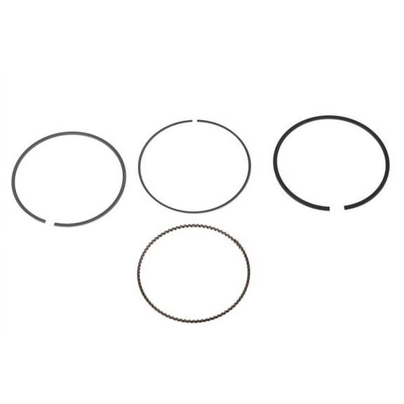 Engine Piston Ring Kit
