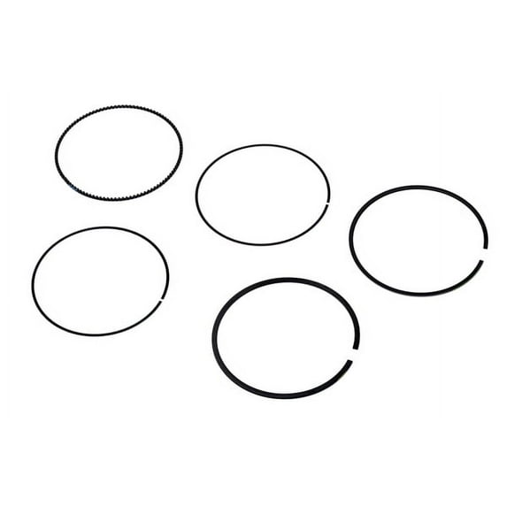 Engine Piston Ring Kit