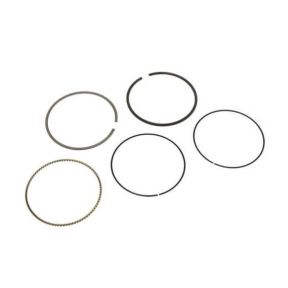Engine Piston Ring Kit