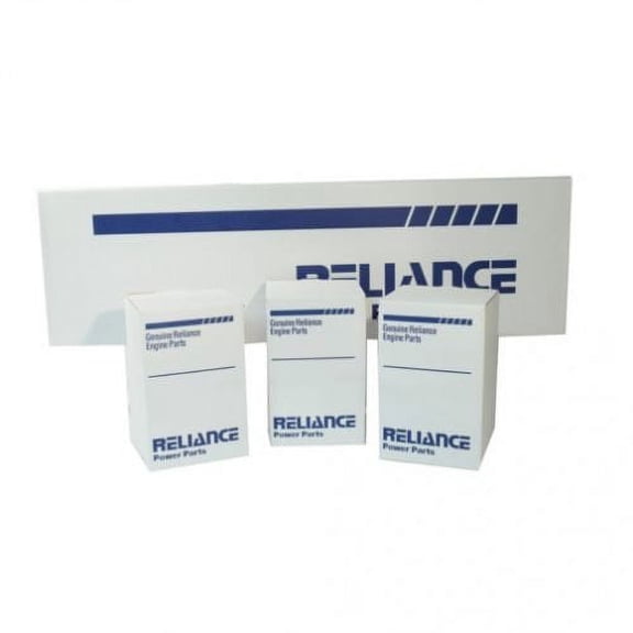 Engine Rebuild Kit - Less Bearings fits International 454 464 484 485 2400A 2400B D179 4500 fits Case IH 495 3220