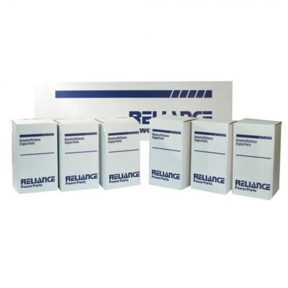 Engine Rebuild Kit - Less Bearings fits Oliver 1850 1855 fits Minneapolis Moline G940 fits Waukesha G310