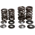 thumbnail image 1 of Engine Spring Kit, 1 of 2
