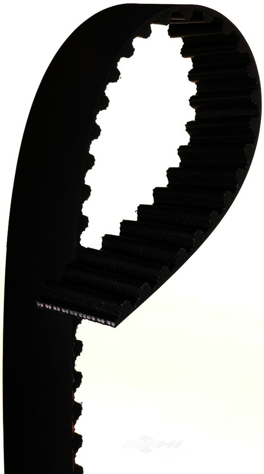Engine Timing Belt Fits 1994 Ford Ranger