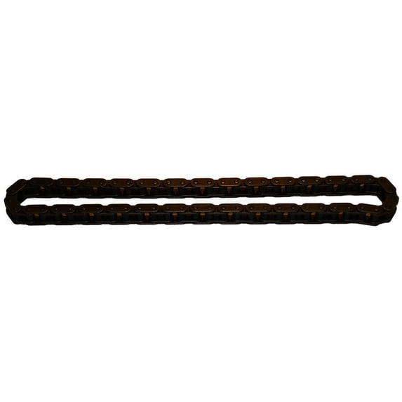 Engine Timing Chain