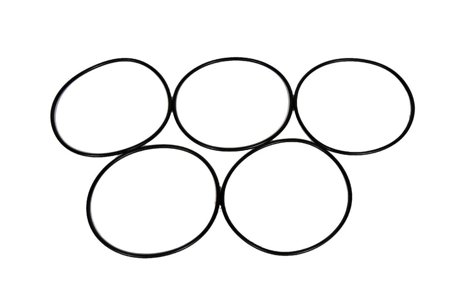 Engine Water Pump O-Ring