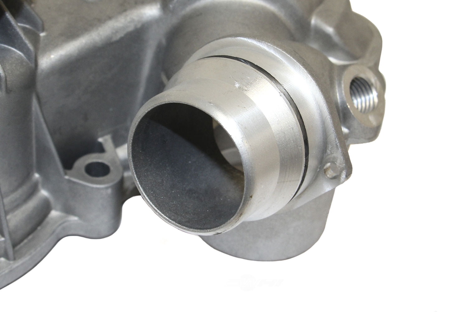 Engine Water Pump