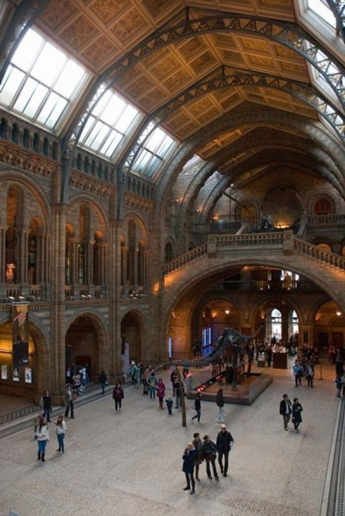 England London Natural History Museum Great Hall Canvas Art - Inger Hogstrom DanitaDelimont (24 x 36)