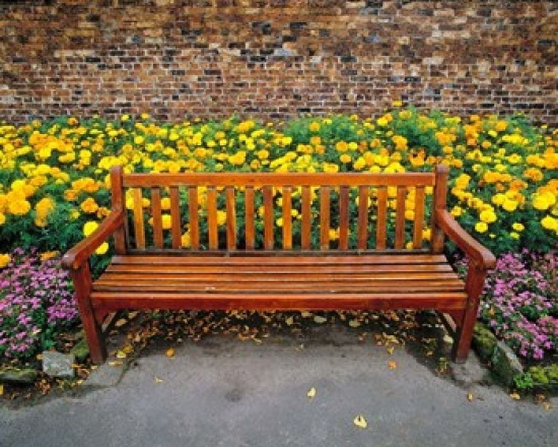 England Northumberland Hexham Park bench Canvas Art - Ric Ergenbright DanitaDelimont (17 x 14)