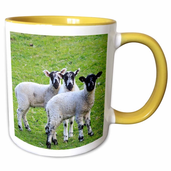 3drose, England, West Yorkshire. Lambs., 11oz Two-tone Yellow Mug
