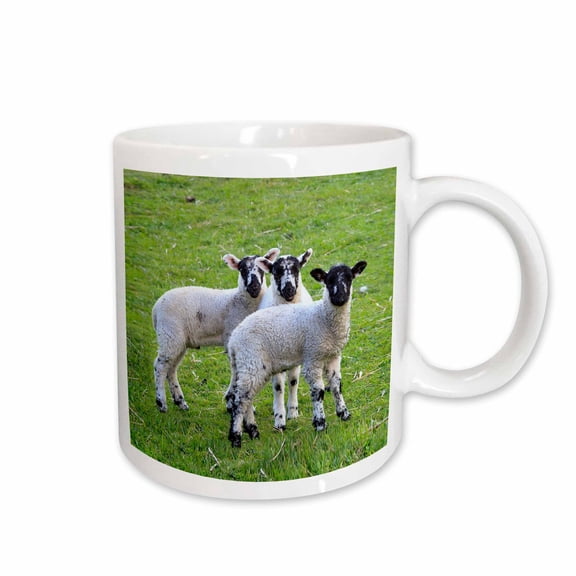 3drose, England, West Yorkshire. Lambs., 15oz Mug