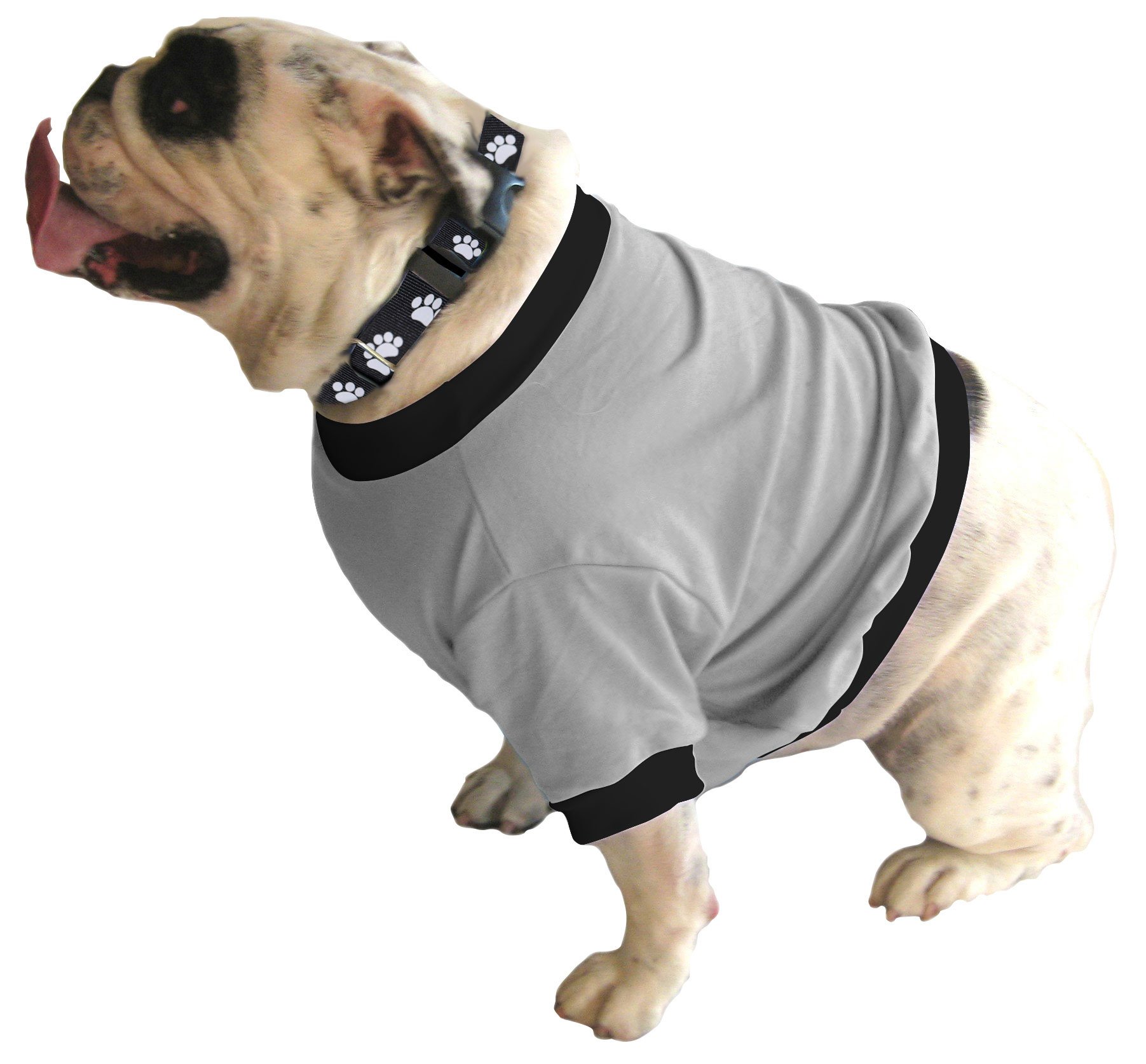 English Bulldog BEEFY Shorty T-Shirt - Fits 31 to 55 Pound Dog - Available in 6 Colors!