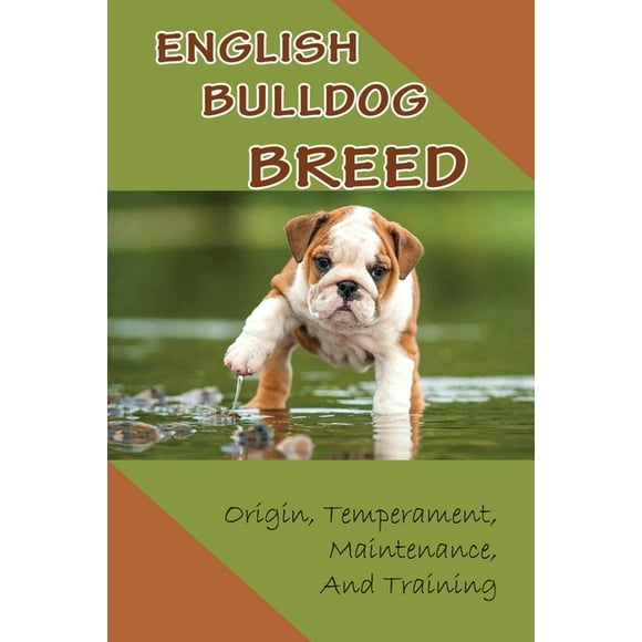 English Bulldog Breed: Origin, Temperament, Maintenance, And Training: Considerations When Buying A Bulldog Puppy (Paperback)