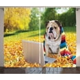 thumbnail image 1 of Ambesonne English Bulldog Curtains 2 Panel Set, Dog in the Park, 108" x 90", Multicolor, 1 of 3
