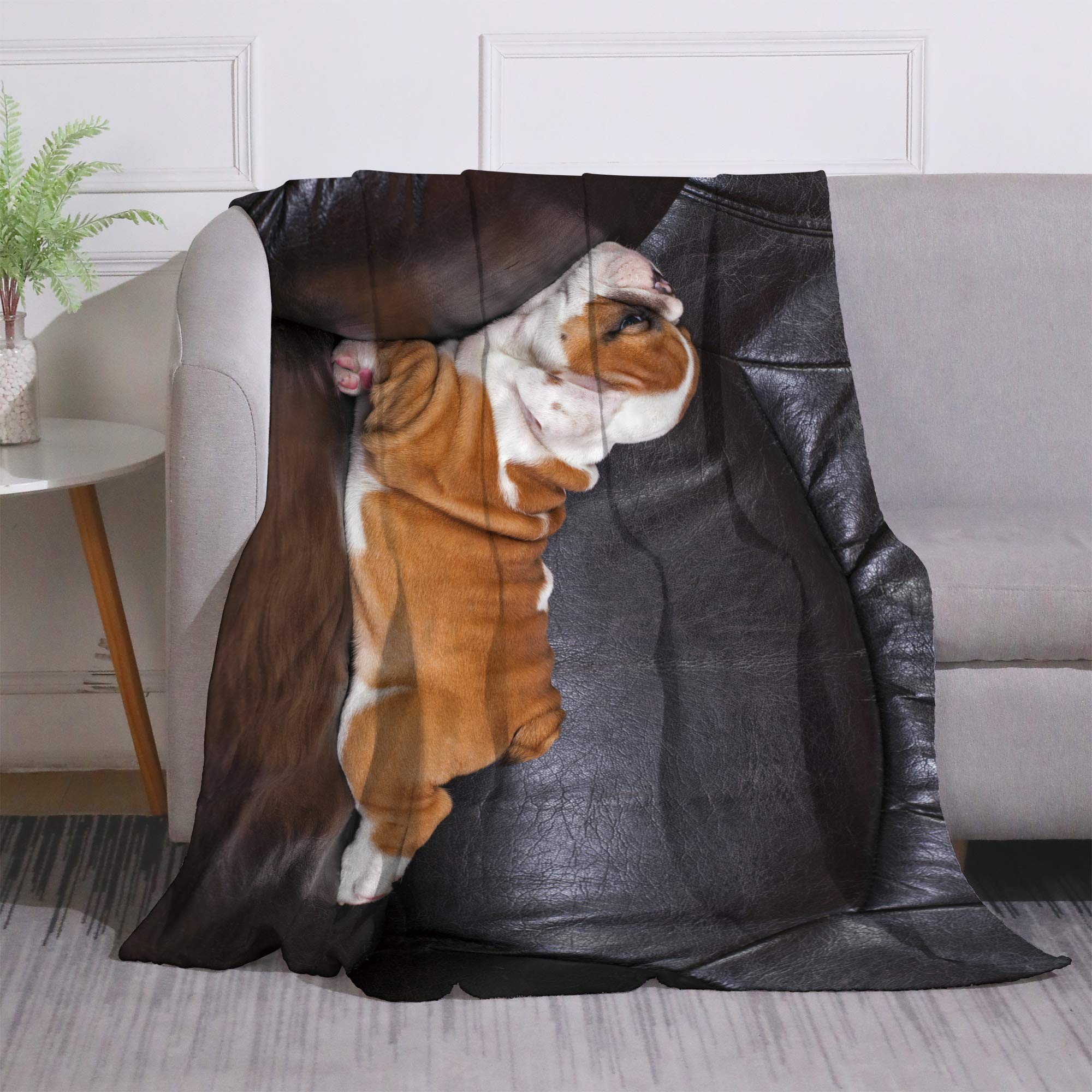 English Bulldog Pattern Winter Lightweight Thin Funny Coral Throw