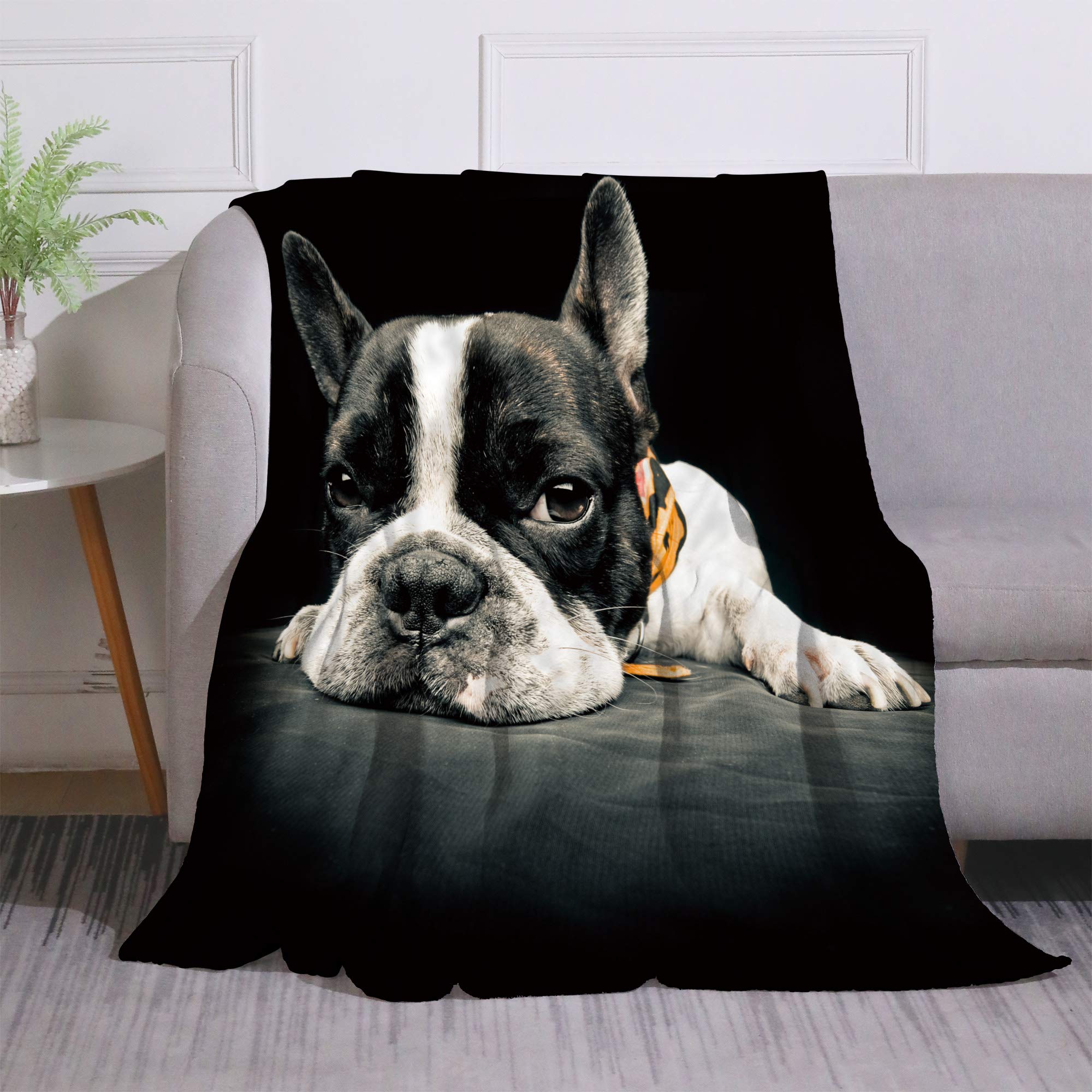 English Bulldog Pattern Winter Lightweight Thin Funny Coral Throw
