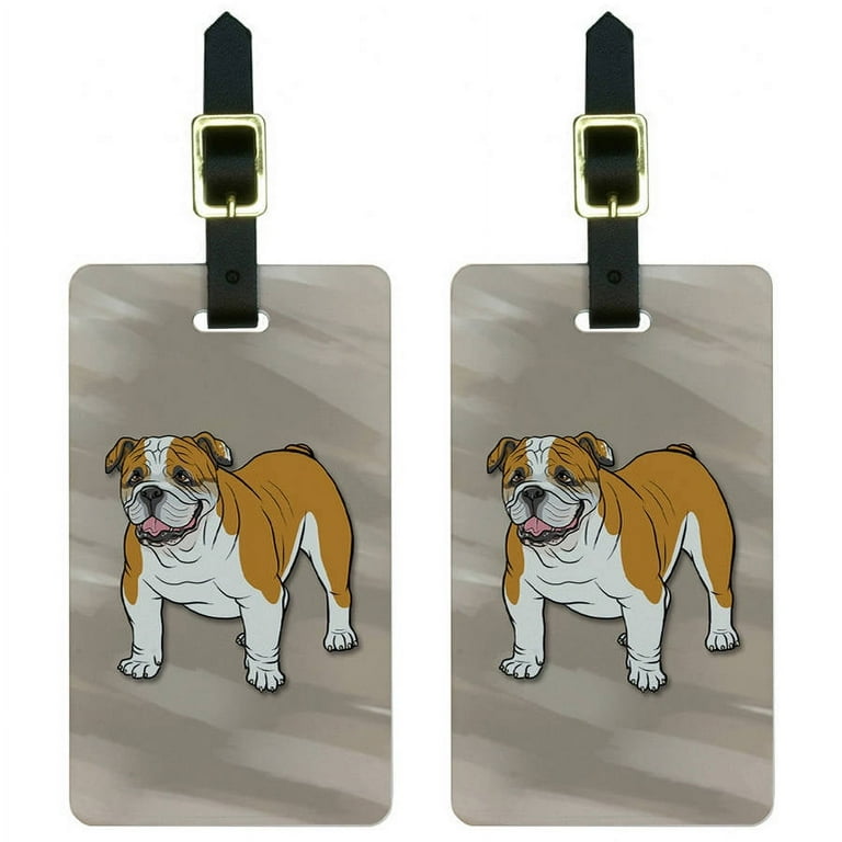 Olde english discount bulldogge accessories