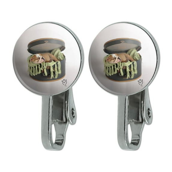 English Bulldog Puppy Dog Sleeping Hatbox Box Novelty Clip-On Stud Earrings