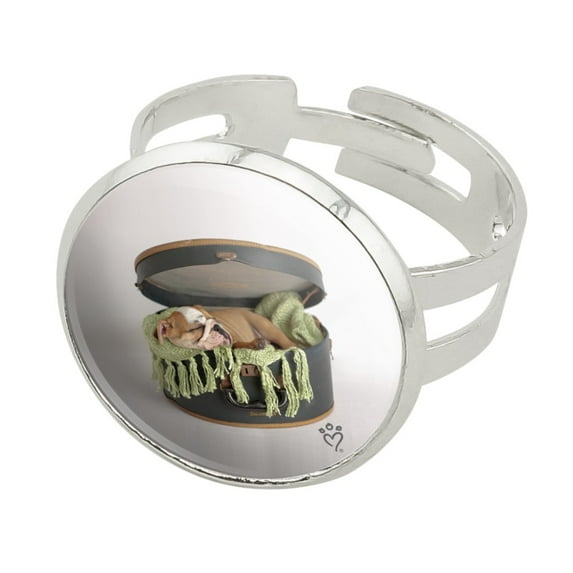 English Bulldog Puppy Dog Sleeping Hatbox Box Silver Plated Adjustable Novelty Ring