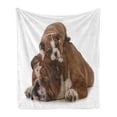 thumbnail image 1 of English Bulldog Soft Flannel Fleece Blanket, Father and Son Bulldogs Fathers Day Photograph Domestic Pet Animals, Cozy Plush for Indoor and Outdoor Use, 60" x 80", Brown White Black, by Ambesonne, 1 of 5