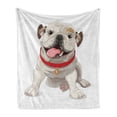 thumbnail image 1 of English Bulldog Soft Flannel Fleece Blanket, Happy Puppy with a Red Collar Domestic Pure Breed Animal Illustration, Cozy Plush for Indoor and Outdoor Use, 60" x 80", Cream Red Pink, by Ambesonne, 1 of 6