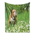 thumbnail image 1 of English Bulldog Soft Flannel Fleece Throw Blanket, Park in Spring with Blooming Daisies and Trees and Bulldog, Cozy Plush for Indoor and Outdoor Use, 50" x 60", Fern Green Brown White, by Ambesonne, 1 of 5