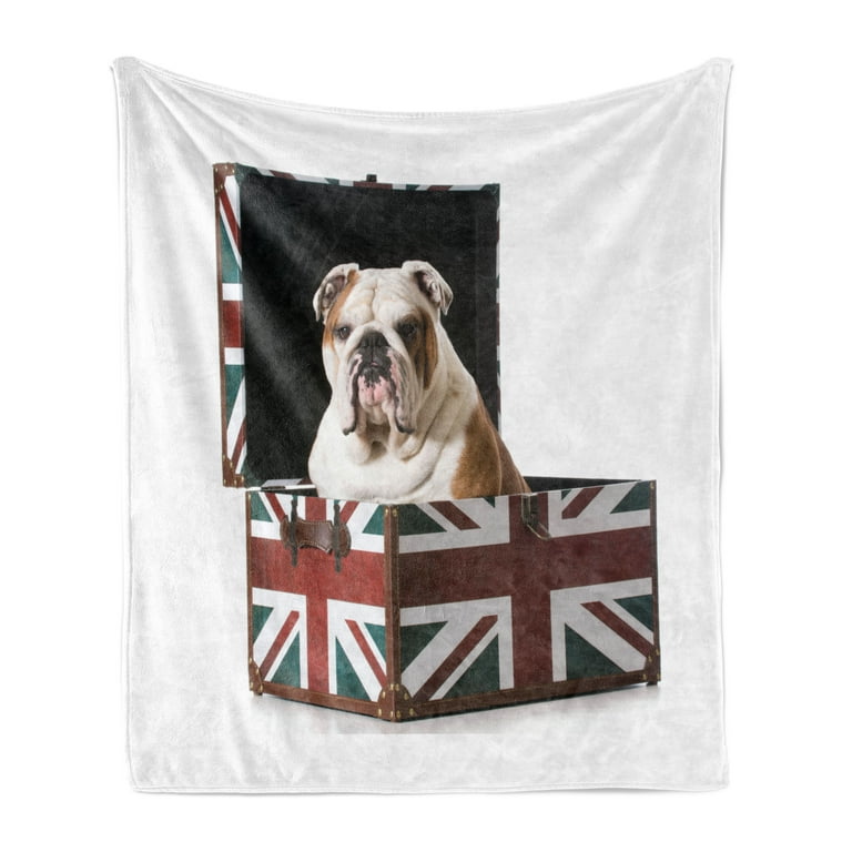 English bulldog throw online blanket