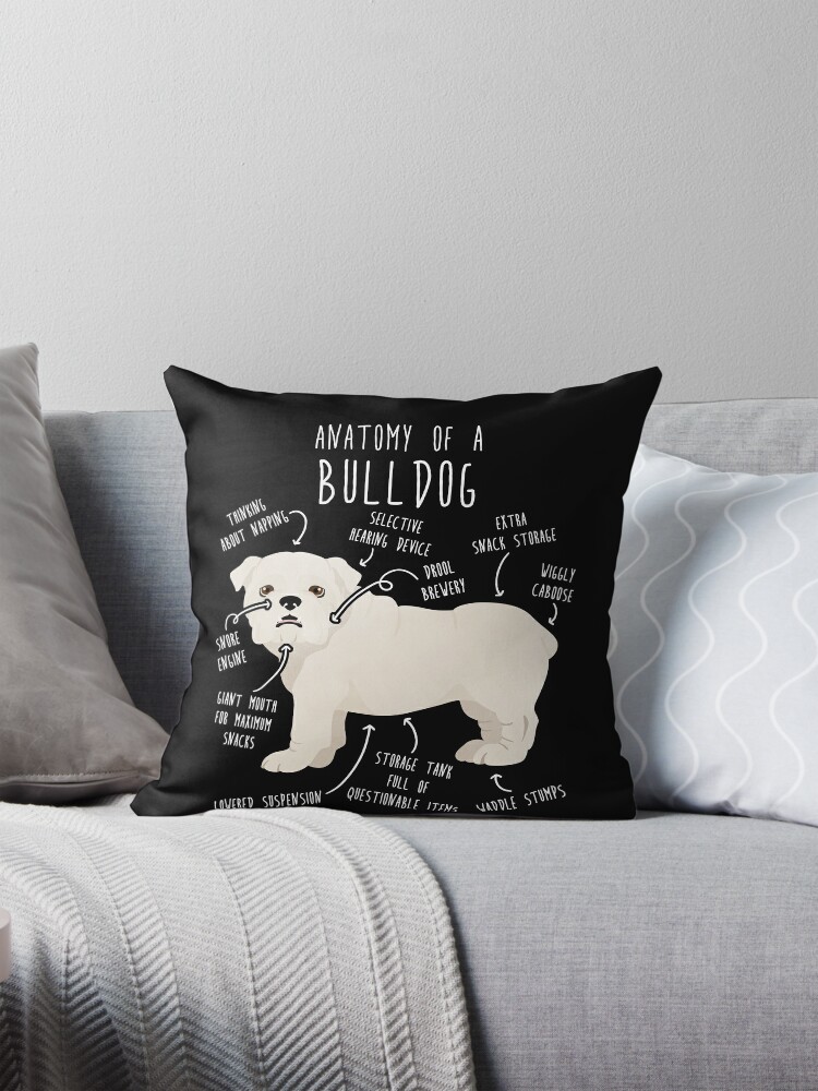 English Bulldog White Dog Anatomy Throw Pillow Covers Cases Cushion
