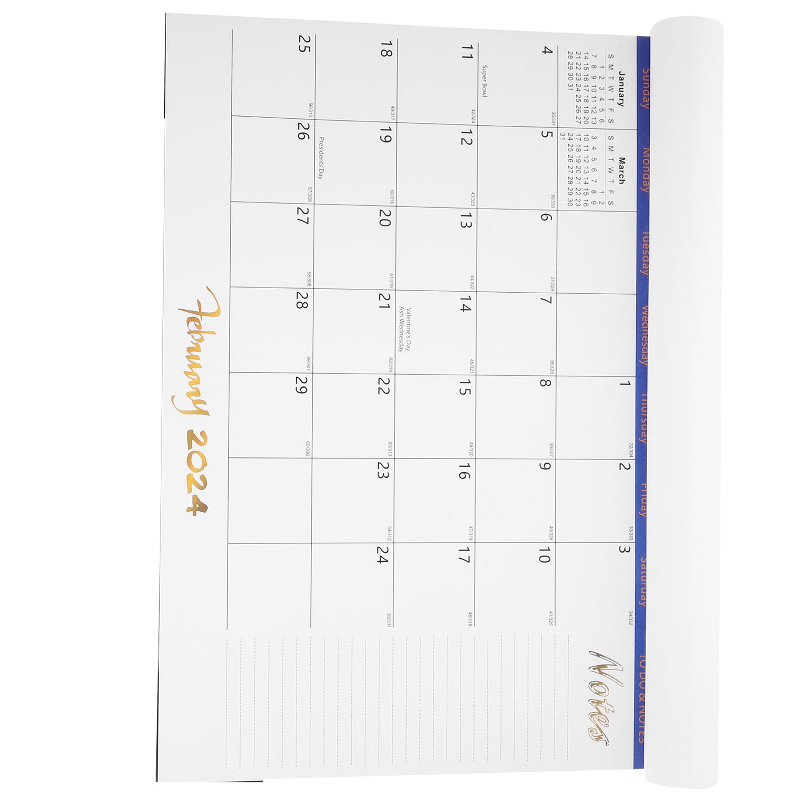 English Calendar 20242025 Wall Daily Use Office Desk Calendars Tear