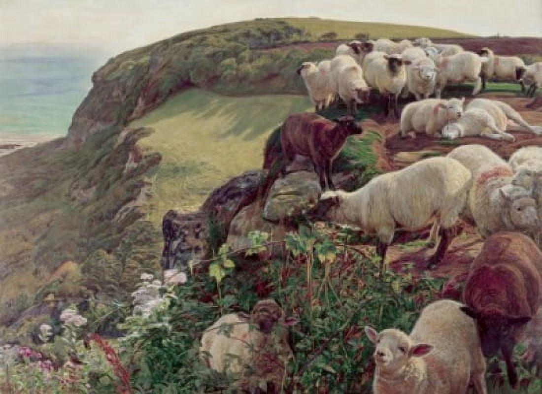 Our English Coasts (Strayed Sheep) 1852 William Holman Hunt (1827-1910 British)  Oil on canvas Tate Gallery London England Canvas Art - William Holman Hunt (18 x 24)