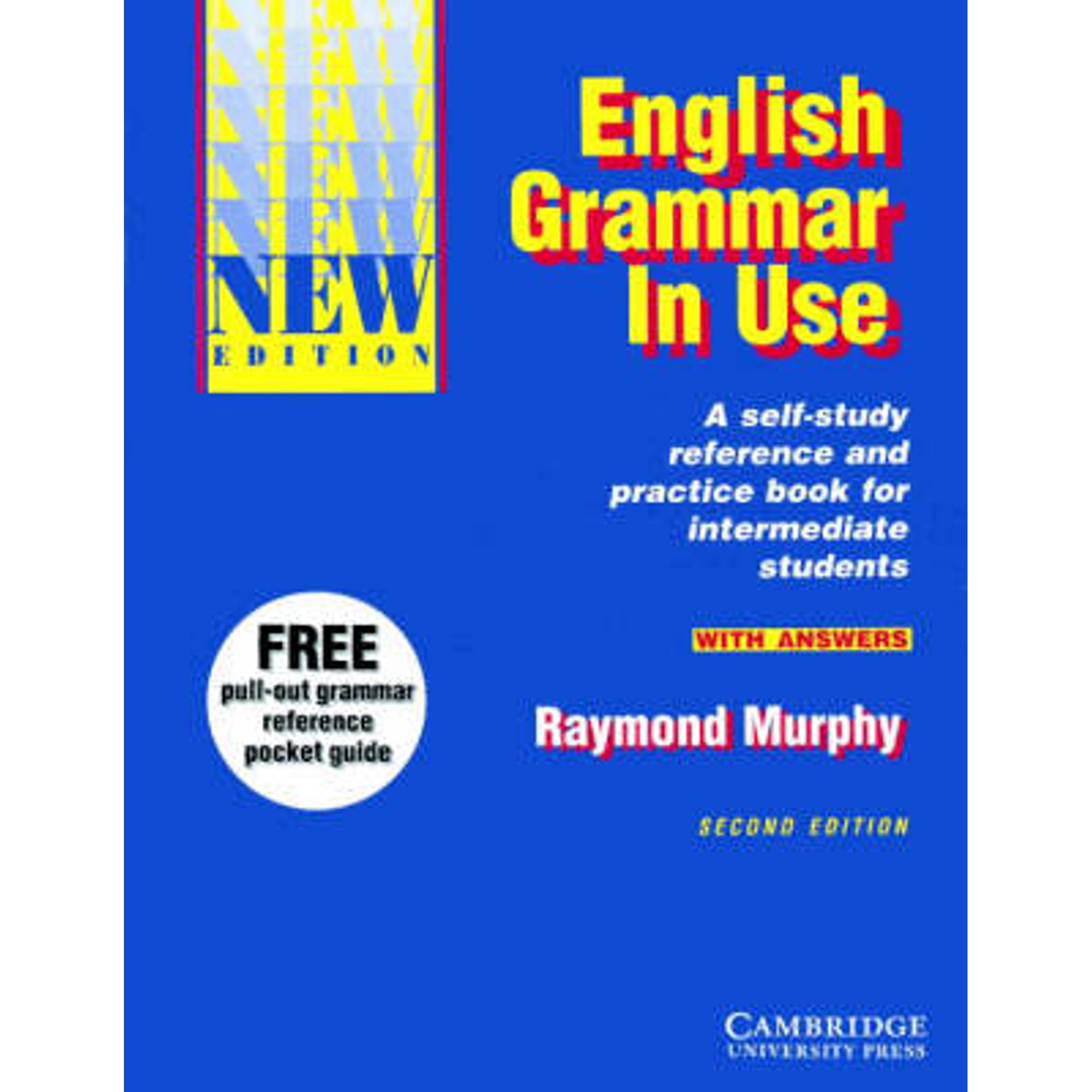 English Grammar in Use: A Reference and Practice Book for