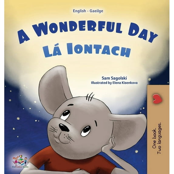 English Irish Bilingual Collection A Wonderful Day (English Irish Bilingual Children's Book), (Hardcover)