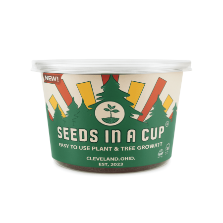 Seeds In A Cup English Ivy Tree Plant Growing Kits