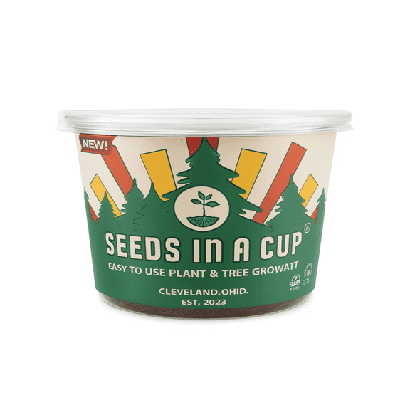 Seeds In A Cup English Ivy Tree Plant Growing Kits