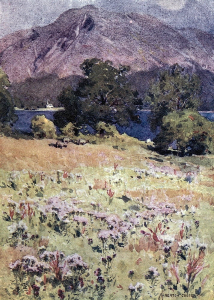 English Lakes 1908 Bassenthwaite Lake & Skiddaw Canvas Art - A Cooper (18 x 24)