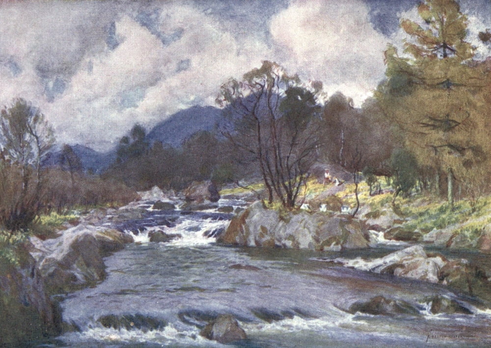 English Lakes 1908 Daffodils on the banks of the Duddon Canvas Art - A Cooper (24 x 36)