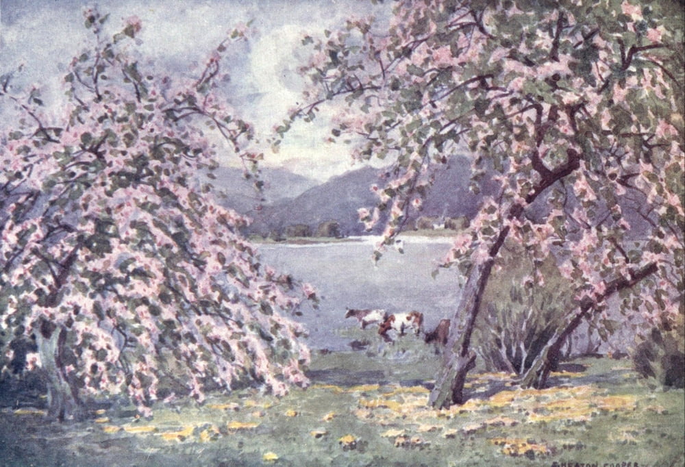 English Lakes 1908 Esthwaite Water Canvas Art - A Cooper (18 x 24)