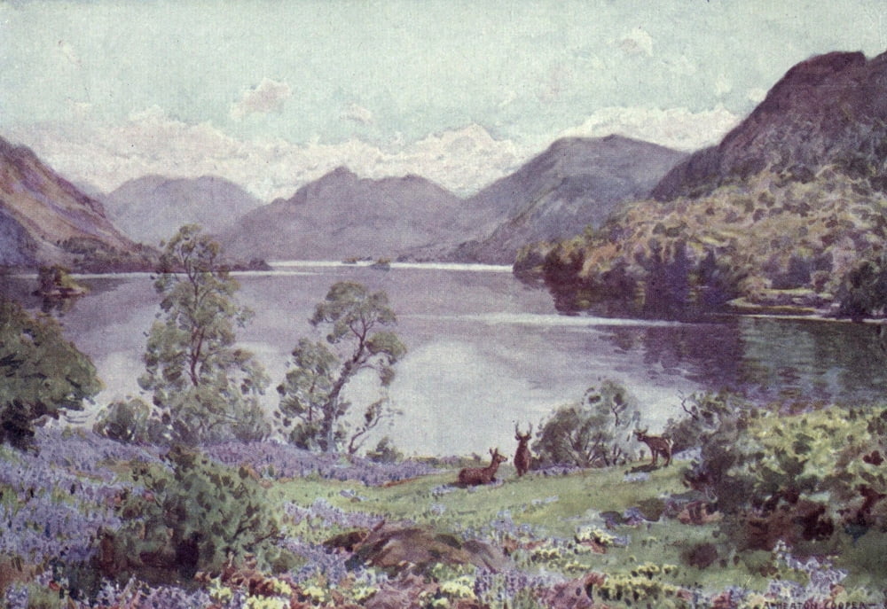 English Lakes 1908 Ullswater from Gowbarrow Park Canvas Art - A Cooper (24 x 36)